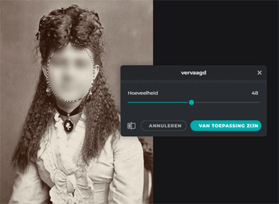 gezicht vervagen met pixlr